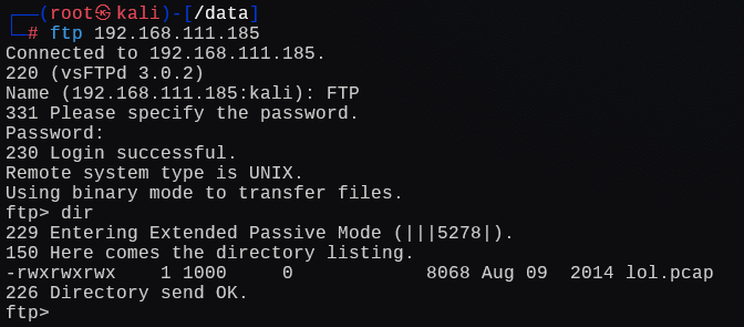 image-20241224011156563