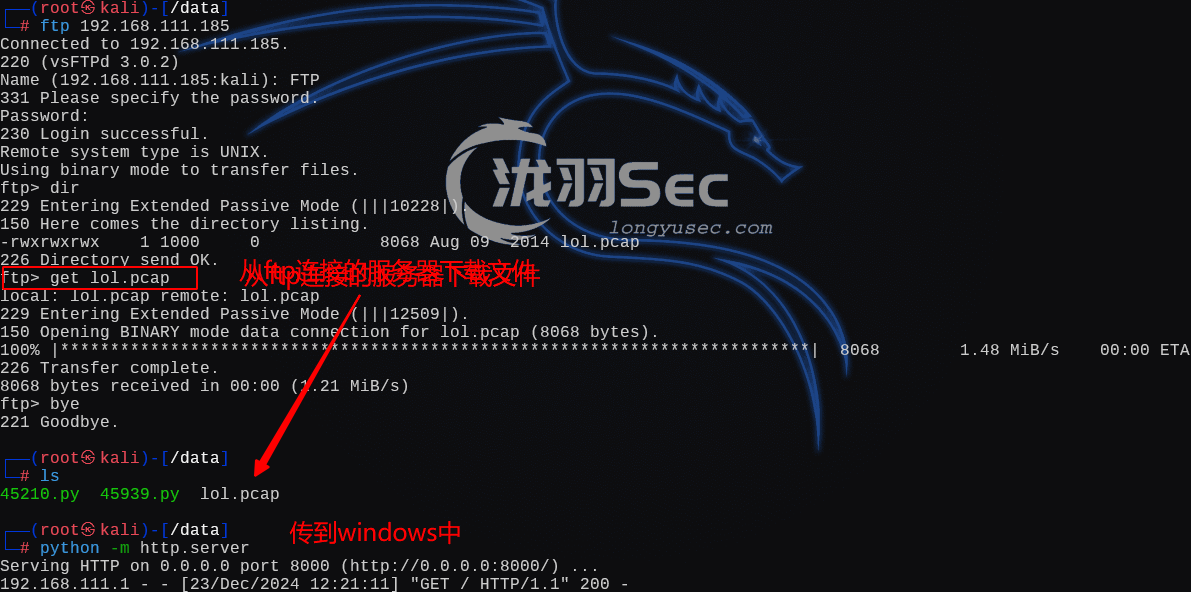 image-20241224012339704