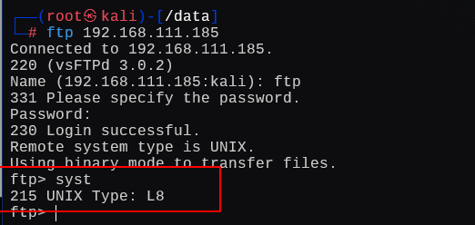 image-20241224030049793