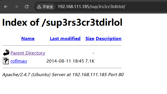 image-20241224033544473