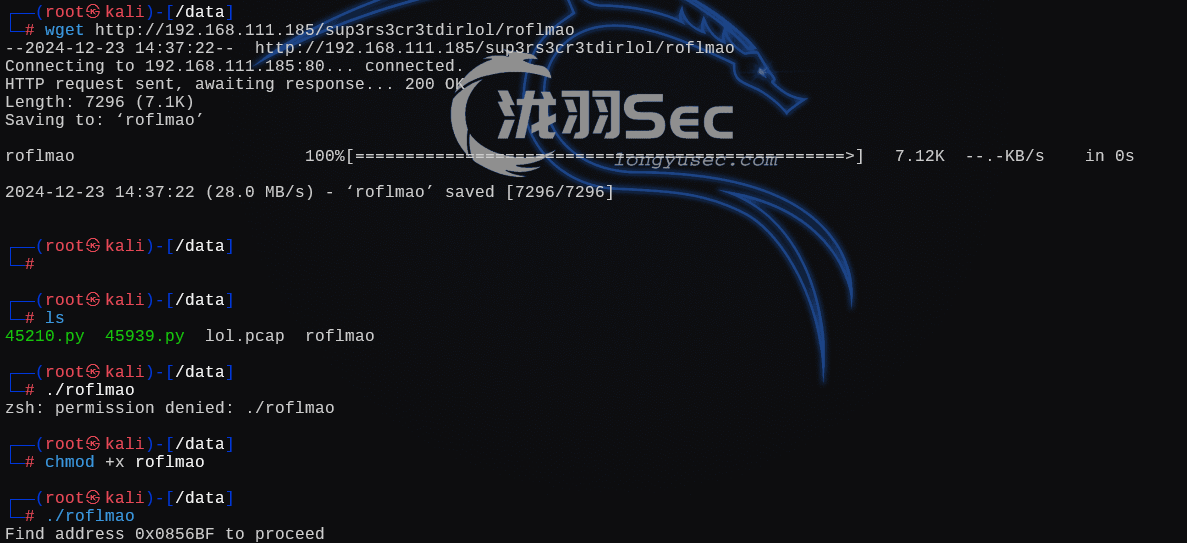 image-20241224033755376