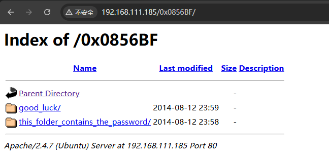 image-20241224033850469