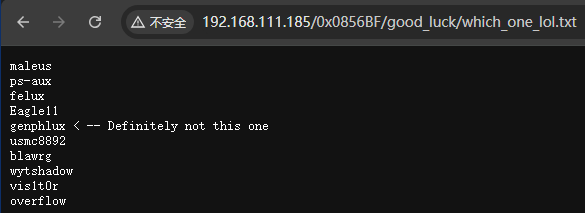 image-20241224033916868