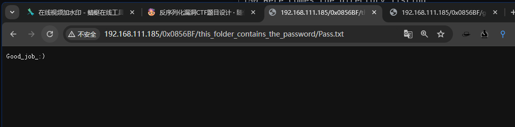 image-20241224034200670