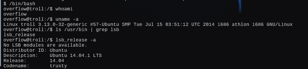 image-20241224035400124