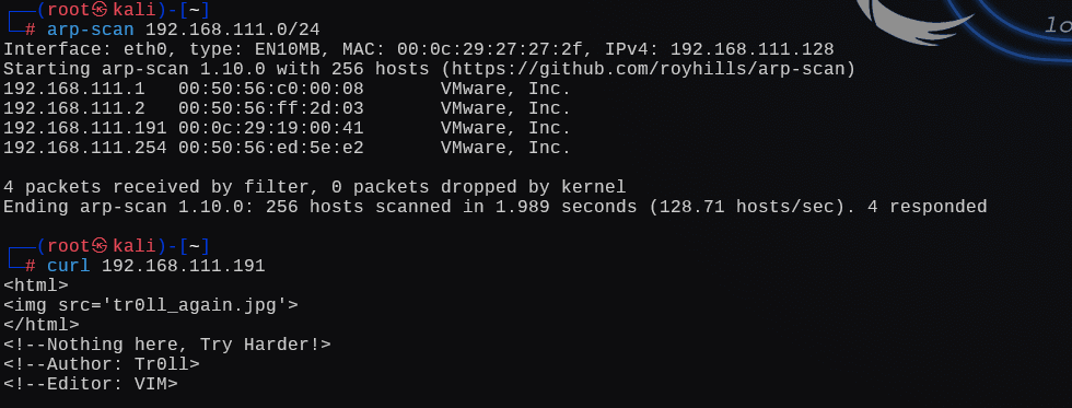 image-20241225014511262