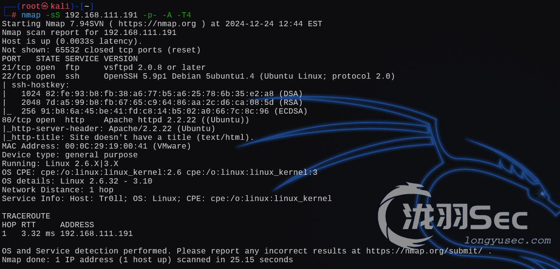 image-20241225014613626