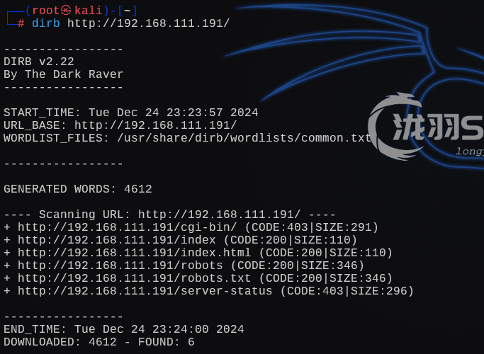 image-20241225122407532