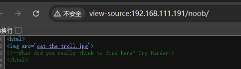image-20241225123036952