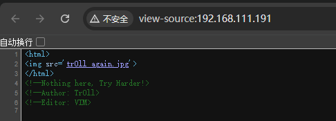 image-20241225123158630