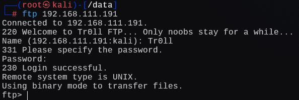image-20241225124411431