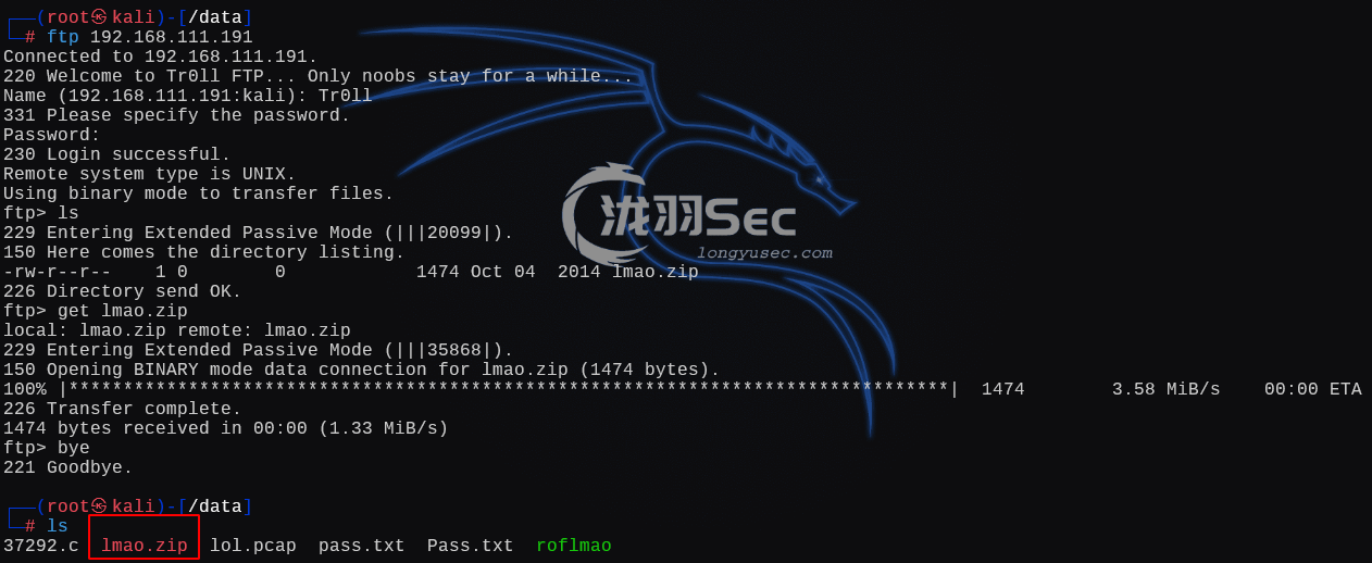 image-20241225124502060