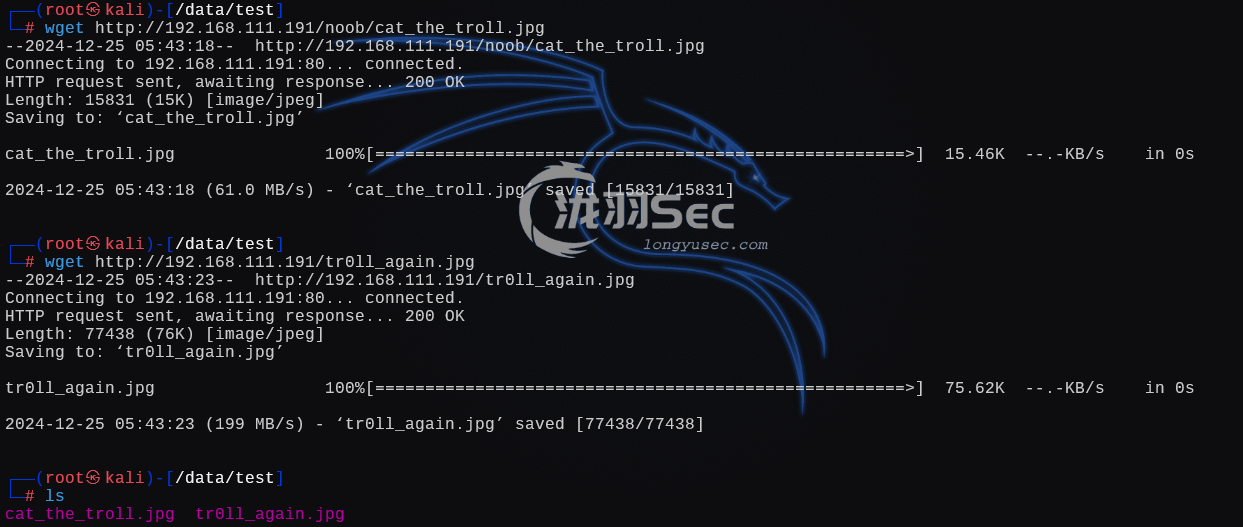 image-20241225184334108