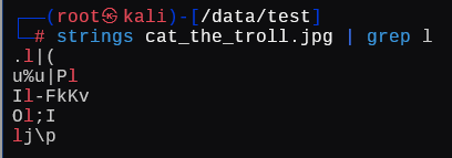 image-20241225184921945