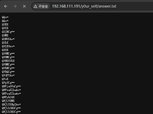 image-20241225185820391