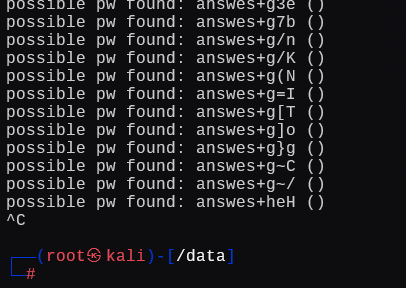 image-20241225191406589