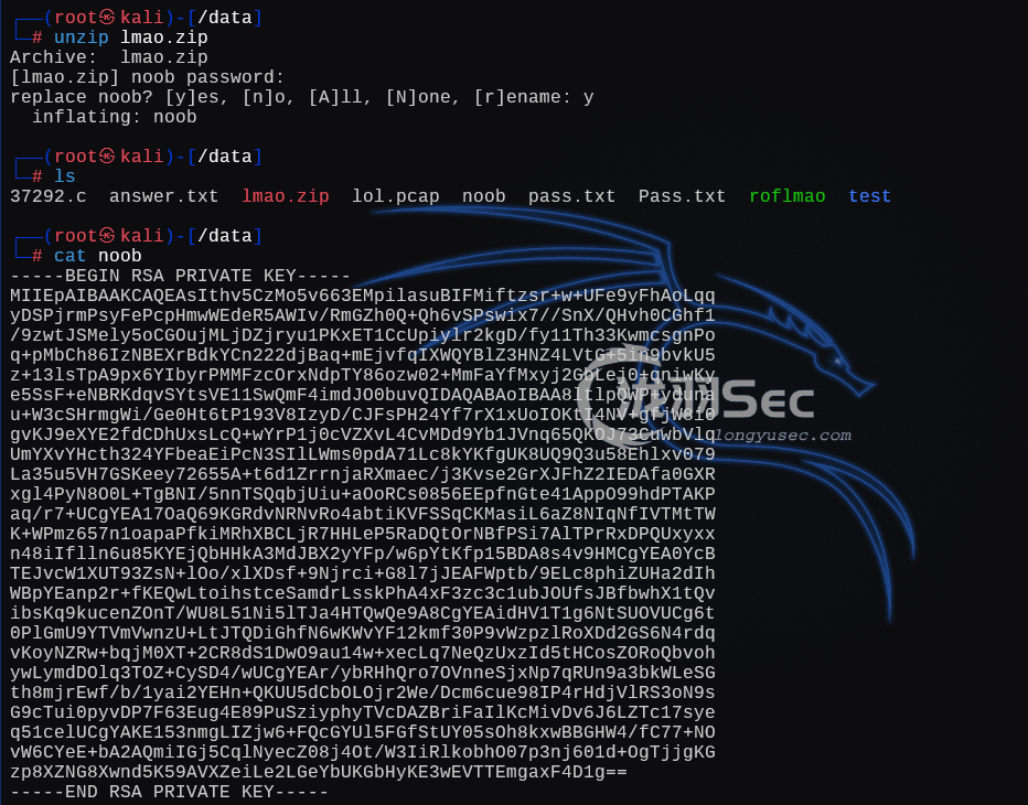 image-20241225191800218