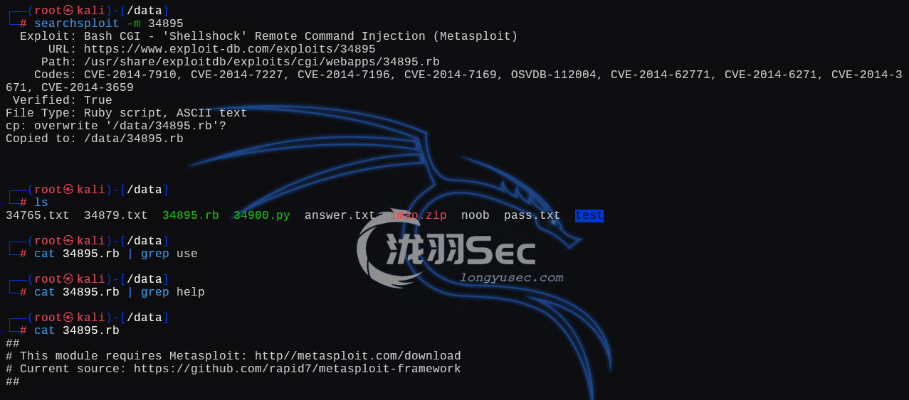 image-20241225233113901