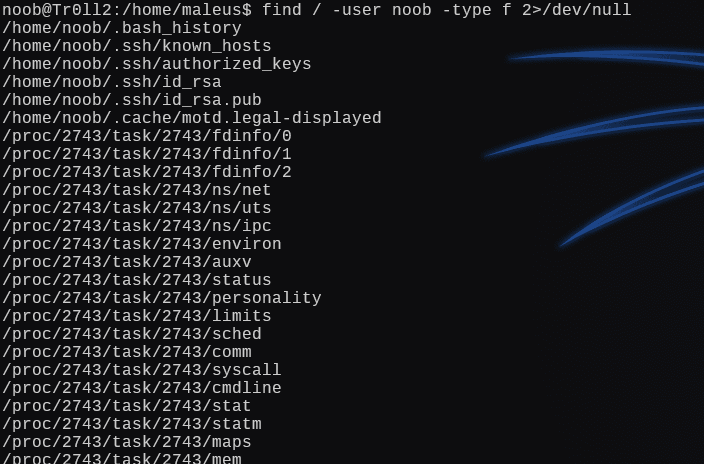 image-20241226002726350