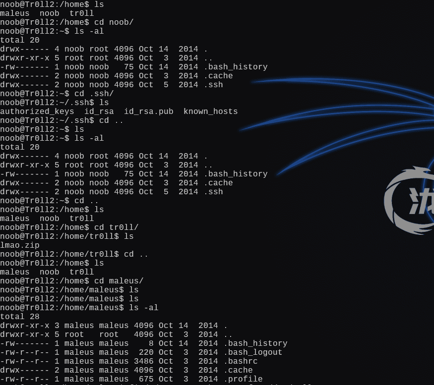 image-20241226002857786