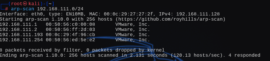 image-20241228194825173