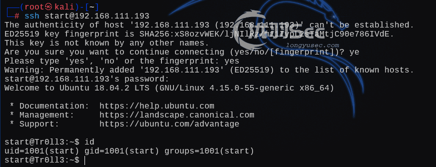 image-20241228194844200