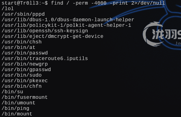 image-20241228194938106