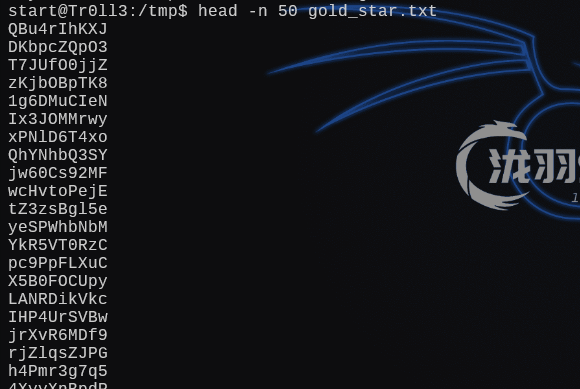 image-20241228203440930