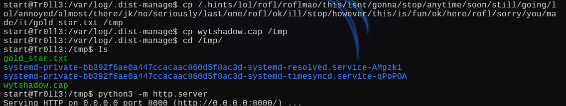 image-20241228203407019