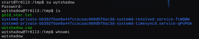 image-20241228204222875