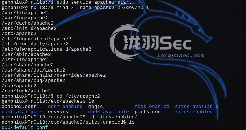 image-20250103014443011