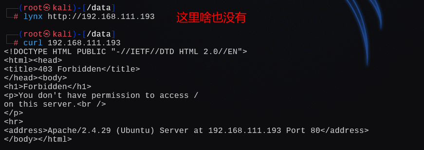 image-20250103014715162