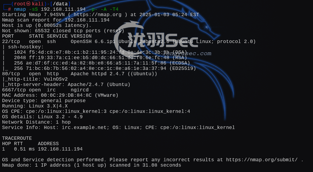 image-20250103182522466