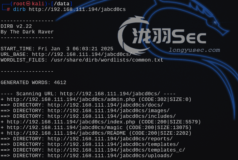 image-20250103190452986