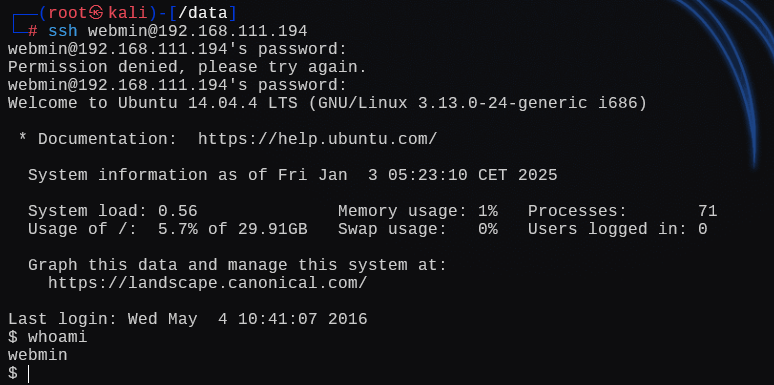 image-20250104015046479