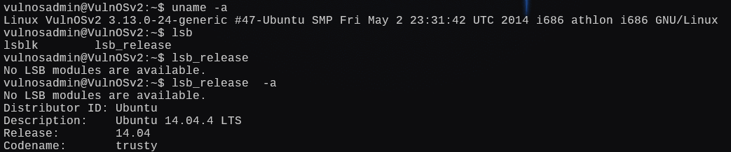 image-20250104171147615