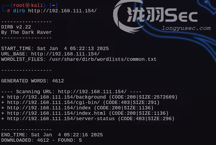 image-20250104182240635