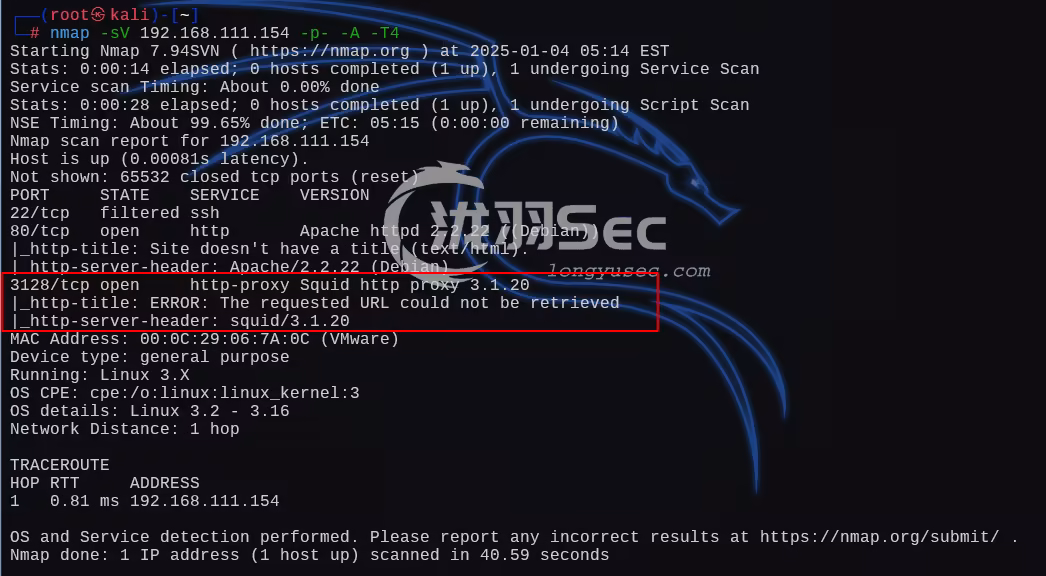 image-20250104190617338