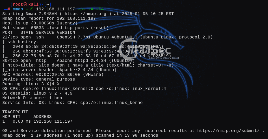 image-20250105232540760