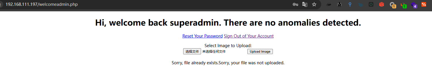 image-20250106010416670