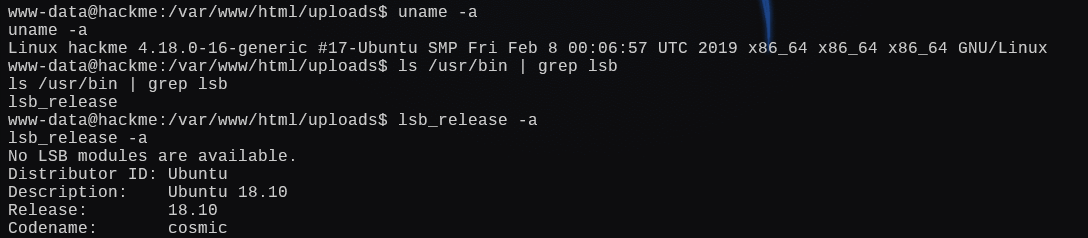 image-20250106011817613