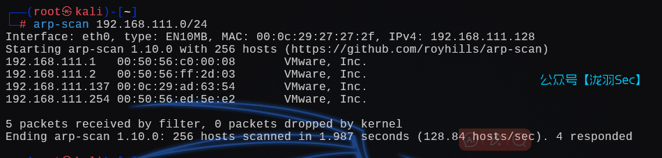 image-20250106172609713