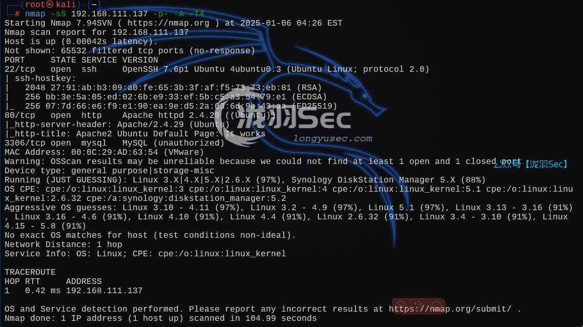 image-20250106172827400