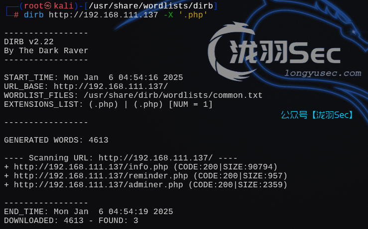 image-20250106175541314