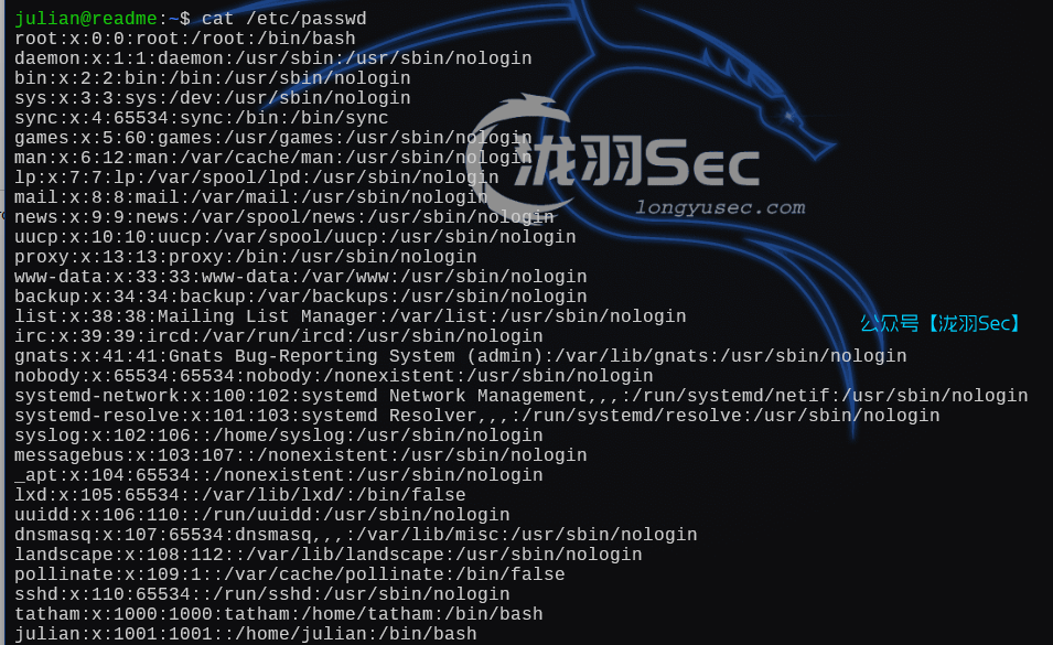 image-20250107144738062