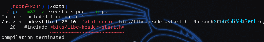 image-20250107153833625