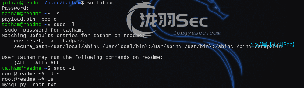 image-20250107161456927